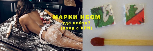стаф Богданович