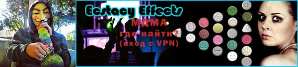стаф Богданович