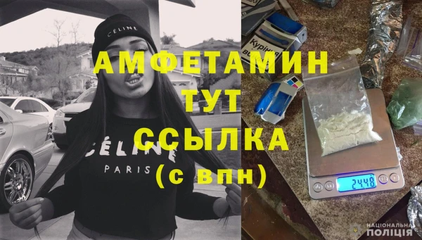 стаф Богданович