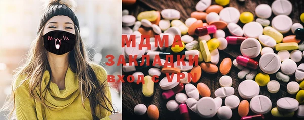 стаф Богданович