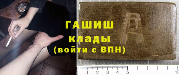 стаф Богданович